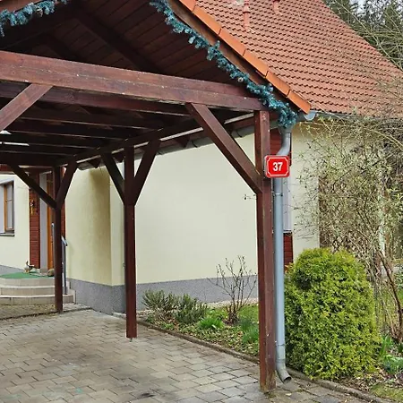 Gejzir 37 Karlovy Vary