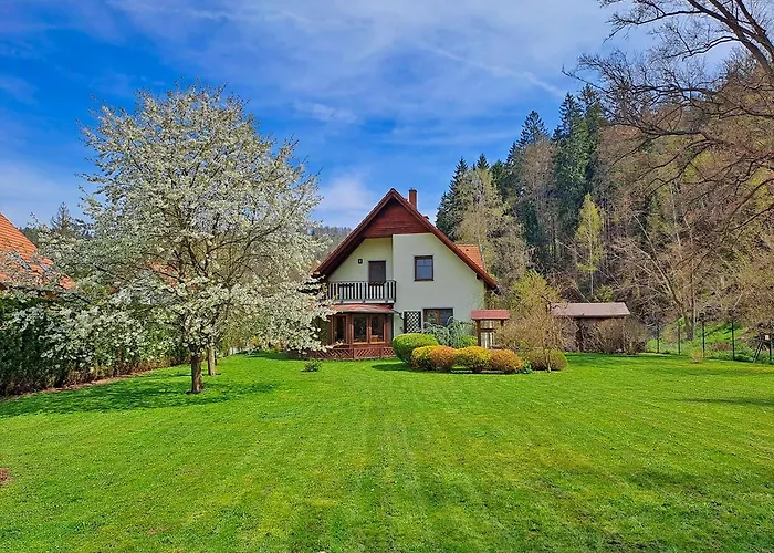 Gejzir 37 Villa Karlovy Vary